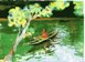 Boroi Village Lagoon
Bought childs canoe
