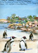 May 13 Capetown African Penquins
